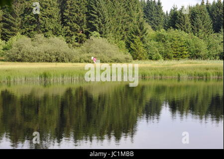 La surface de l'eau dans l'herbe,Marienteich,Allemagne. Banque D'Images