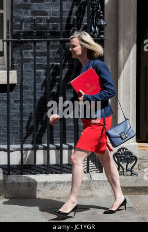 Londres, Royaume-Uni. 13 juin 2017. Liz Truss, Secrétaire en chef au Trésor, quitter la réunion du Cabinet à No 10 Downing Street. Photo : Images éclatantes/Alamy Live News Banque D'Images