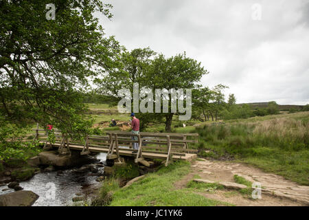 Peak District, Derbyshire, Royaume-Uni. 13 Juin, 2017. Les Marcheurs et randonneurs chien bénéficiant d'une promenade sur le Longshawe Estate dans le Peak District malgré les nuages ciel nuageux. 13 juin 2017. Crédit : Gary Bagshawe Alamy Live News Banque D'Images