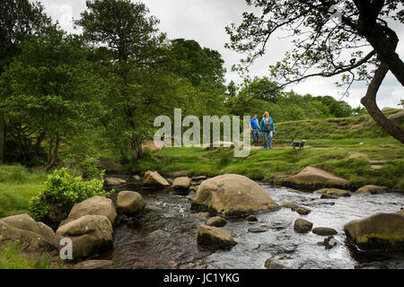 Peak District, Derbyshire, Royaume-Uni. 13 Juin, 2017. Les Marcheurs et randonneurs chien bénéficiant d'une promenade sur le Longshawe Estate dans le Peak District malgré les nuages ciel nuageux. 13 juin 2017. Crédit : Gary Bagshawe Alamy Live News Banque D'Images