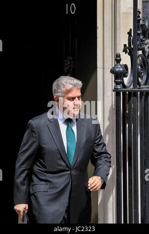 Londres, Royaume-Uni. 13 Juin, 2017. Brandon Lewis MP, Ministre d'État à l'Immigration, les feuilles numéro 10 Downing Street après avoir assisté à une réunion du Cabinet du Premier Ministre avant la réunion mai Theresa Parti unioniste démocratique chef Arlene Foster. Crédit : Stephen Chung/Alamy Live News Banque D'Images