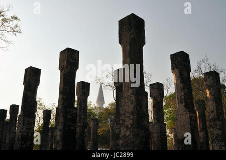 Piliers. Ruines. Ville ancienne de Polonnaruwa. Sri Lanka Banque D'Images