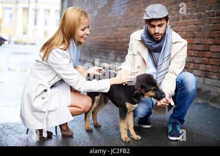 Portrait of happy young couple in vêtement élégant chien d'alimentation à l'extérieur Banque D'Images