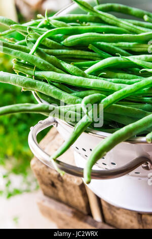 Bouquet de haricots verts frais dans une passoire en métal blanc sur weathered wood garden fort, des herbes, de l'alimentation, alimentation saine, style Provence Banque D'Images