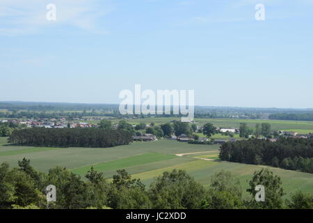 Vue aérienne sur les forêts et les champs dans la région de Grande Pologne Pologne Banque D'Images