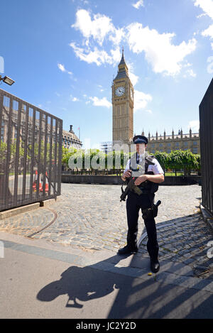 Policier britannique armé gardant la porte du Parlement, Palais de Westminster. Londres, Royaume-Uni. Ouvrez la porte. Portes ouvertes Banque D'Images