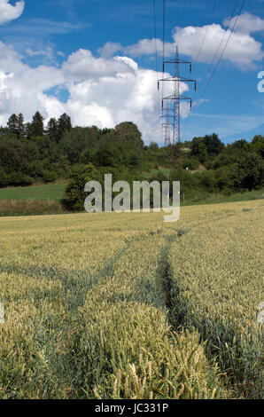 Photo de sentier dans le grain en premier plan et arrière-plan sur les pylônes à haute tension Banque D'Images