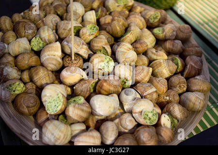 Libre tourné de plat pleins d'escargots Banque D'Images