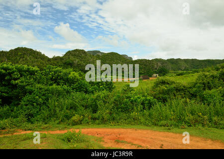 Vue sur la vallée de Vinales où l'usine de tabac à partir de laquelle il est produit n'est en cours de plantation le meilleur dans le monde des cigares, Cuba, Pinar del rio provinc Banque D'Images