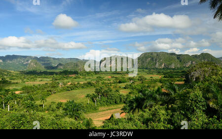 Vue sur la vallée de Vinales où l'usine de tabac à partir de laquelle il est produit n'est en cours de plantation le meilleur dans le monde des cigares, Cuba, Pinar del rio provinc Banque D'Images