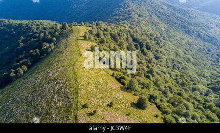 Vue aérienne d'un chemin menant à Monte Boletto, Alpes, près du lac de Côme. Como, Como, Lombardie, Italie Banque D'Images