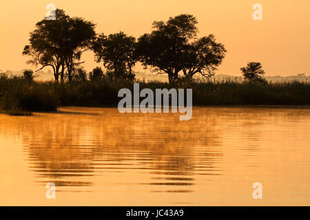 Paysage africain avec des arbres se reflétant dans l'eau au lever du soleil, rivière Kwando, Namibie Banque D'Images