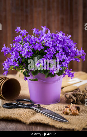 Pour la plantation de fleurs avec outils de jardin Banque D'Images