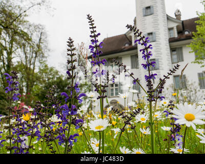 Château Hahnberg à Berg, canton de Saint-Gall, en Suisse Banque D'Images