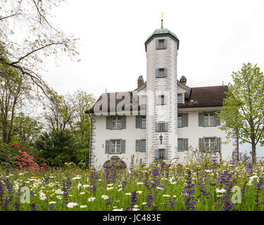 Château Hahnberg à Berg, canton de Saint-Gall, en Suisse Banque D'Images