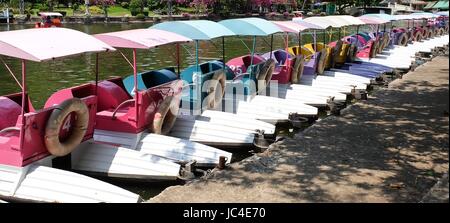 Rangée de Cycle de l'eau colorée des bateaux et pédalos à la Dock dans un parc. Banque D'Images