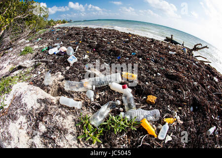 Les bouteilles en plastique et autres déchets échoués sur une plage éloignée dans la mer des Caraïbes. Les voisins musicaux de plastiques en petits morceaux qui entrent dans la chaîne alimentaire. Banque D'Images