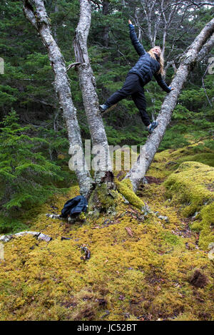 Snowboarder professionnel et médaillé d'or aux Jeux Olympiques de 2014, Jamie Anderson grimpe un arbre sur une journée pluvieuse alors que sur un snowboard voyage à Haines, Alaska. Banque D'Images