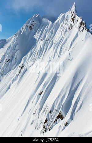 Snowboarder professionnel Robin Van Gyn, manèges de poudreuse sur une journée ensoleillée tout en snowboard à Haines, Alaska. Banque D'Images