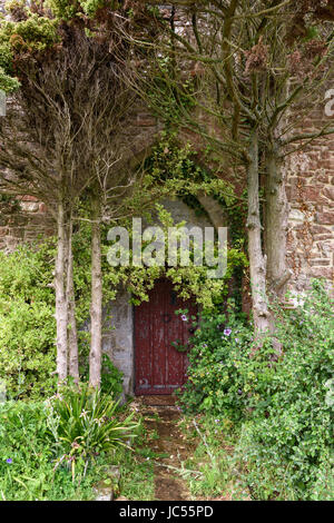 Porte mystérieuse avec les plantes envahies, île de Wight, Royaume-Uni Banque D'Images