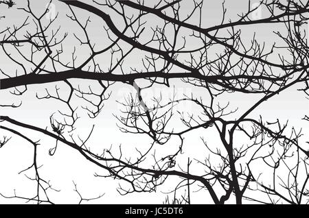 Silhouette de branches sèches d'un arbre. Illustration de Vecteur