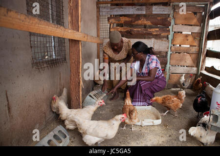 Éleveur de volailles, Tanzania, Africa Banque D'Images