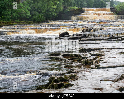 L'eau tourbée après de fortes pluies en basse Aysgarth Falls sur la Rivière Ure Wensleydale Yorkshire Dales England Banque D'Images