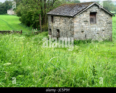 Domaine grange près de West Burton dans Wensleydale Yorkshire Angleterre Nord Yorkshire Dales Banque D'Images