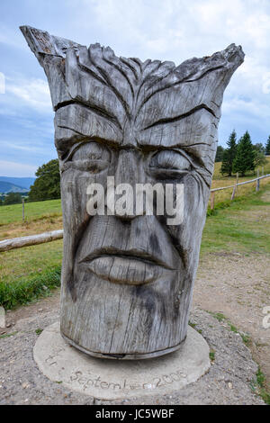 Un visage est sculpté dans un morceau de bois dans la forêt noire Banque D'Images