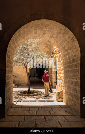 Un endroit pittoresque au Cardo dans la vieille ville de Jérusalem, Israël : Une entrée voûtée, cour et olivier. Banque D'Images