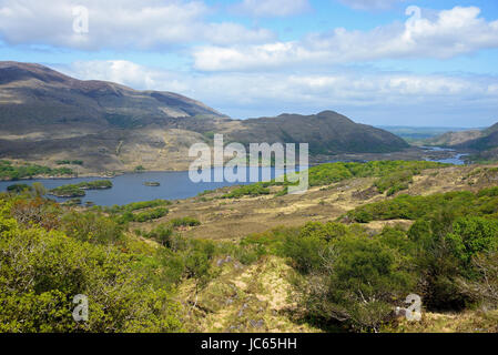 Paysages, ladies view, le parc national de Killarney, Irlande, Grande Bretagne , Landschaft, Ladies view, le parc national de Killarney, Irlande, Grossbritannien Banque D'Images