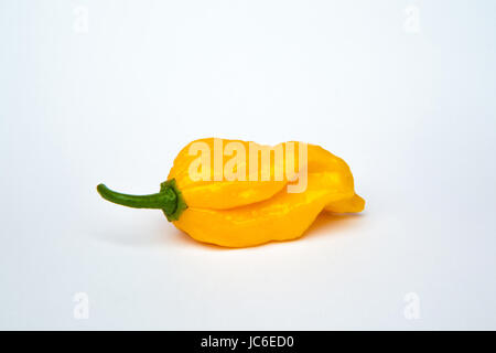 Piment fatalii jaune isolé sur fond blanc Banque D'Images