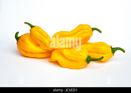 Piment fatalii jaune isolé sur fond blanc Banque D'Images