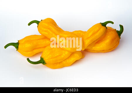 Piment fatalii jaune isolé sur fond blanc Banque D'Images