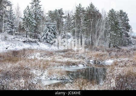 L'eau de ruisseau après le début de l'hiver neige, Sudbury, Ontario, Canada Banque D'Images