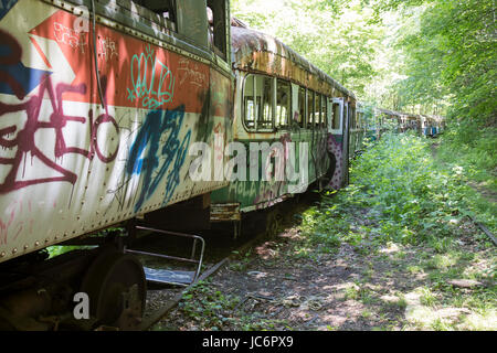 Ligne de l'écriture graffiti tagged abandonné trolleybus sur rails dans les bois. Banque D'Images