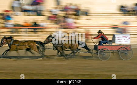 Courses de chariots en fort Saint John Colombie-britannique, courses de chariots de Fort St John en Colombie-Britannique Banque D'Images