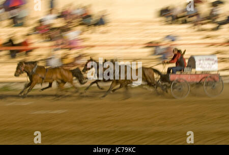 Courses de chariots en fort Saint John Colombie-britannique, courses de chariots de Fort St John en Colombie-Britannique Banque D'Images