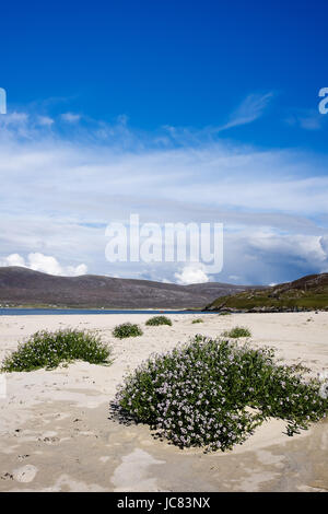 Scarista beach, Isle of Harris Banque D'Images