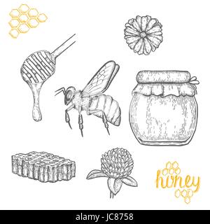 Miel à la main sur fond blanc Illustration de Vecteur