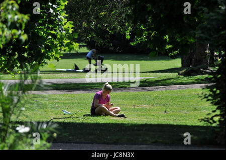 Londres, Royaume-Uni. 14 juin 2017. Les touristes bronzer en Regent's Park par beau temps. Les températures sont appelées à être encore plus chauds dans la capitale dans les prochains jours. Crédit : Stephen Chung / Alamy Live News Banque D'Images