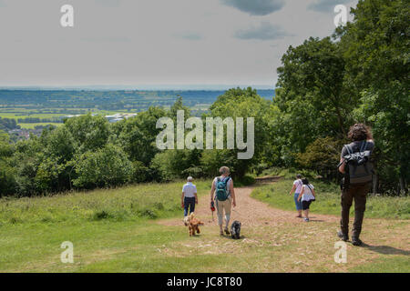 Les gorges de Cheddar, Somerset, Royaume-Uni. 14 juin 2017. Météo britannique. Chaude et ensoleillée pour les visiteurs et des grimpeurs à Cheddar Gorge aujourd'hui. Crédit : Simon Maycock/Alamy Live News Banque D'Images