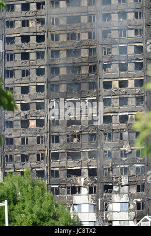 Londres, Royaume-Uni. 14 Juin, 2017. La tour de Grenfell fire Crédit : Matthieu Chattle/Alamy Live News Banque D'Images