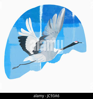 Nouvelle année 2017 avec un vol de grue Banque D'Images