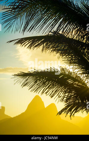 Golden sunset s'allume la silhouette de feuilles de palmier à l'encontre de l'emblématique aperçu de deux frères dans la montagne la plage d'Ipanema, Rio de Janeiro, Brésil Banque D'Images