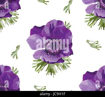 Anémone Coronaria pavot violet vintage de belles fleurs, feuilles, fond d'écran transparent en fleurs féminin floral botanique design waterco Illustration de Vecteur