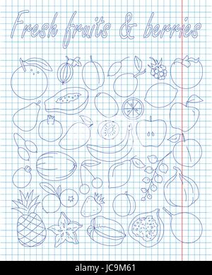 Ensemble de fruits & baies dessiné à la plume Illustration de Vecteur