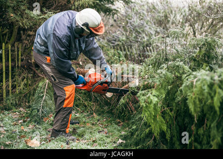 Jardinier professionnel avec arbre de coupe scie à chaîne. Banque D'Images