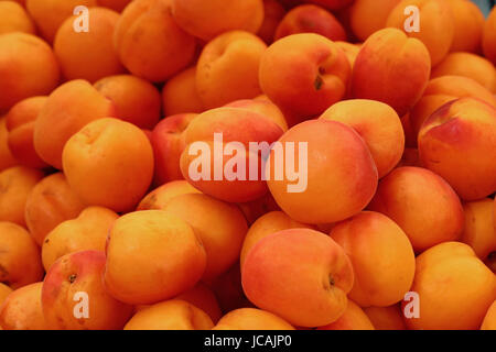 Grand frais abricots moelleux mûres sur le retail market stall display, Close up, high angle view Banque D'Images