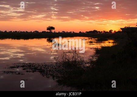 Botswana lever du soleil Banque D'Images